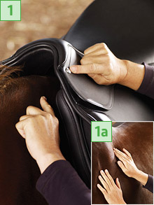 faites une marque sous le clou de selle de chaque côté du cheval.