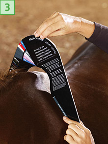 Assurez-vous que le gabarit est placé sur la zone d’appui marquée repose uniformément contre le cheval