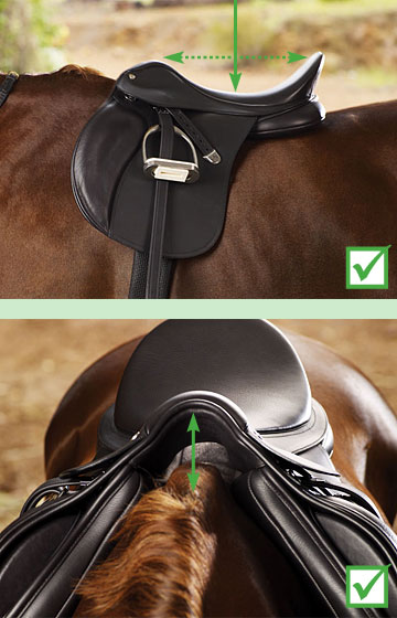 Select the optimal combination of front, centre and rear risers
